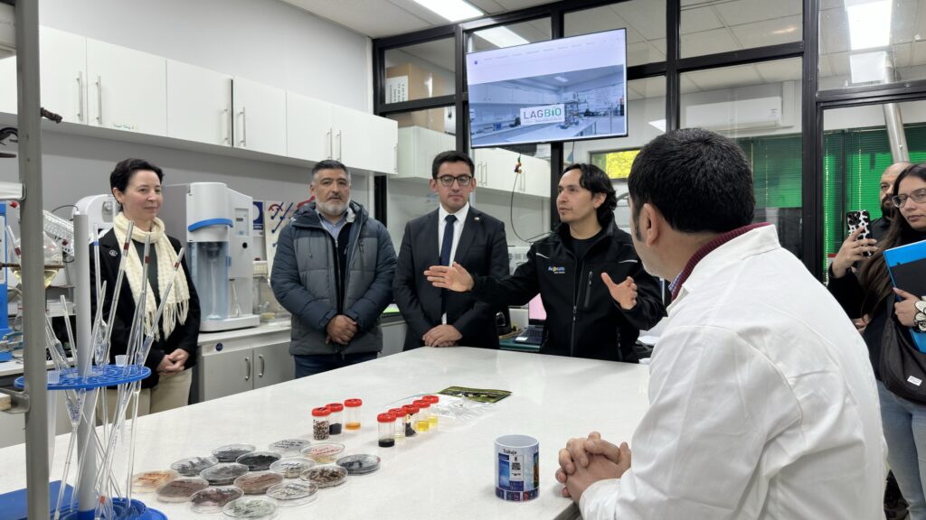 Facultad de Ingeniería UTalca propone sello para certificar la calidad del pellet