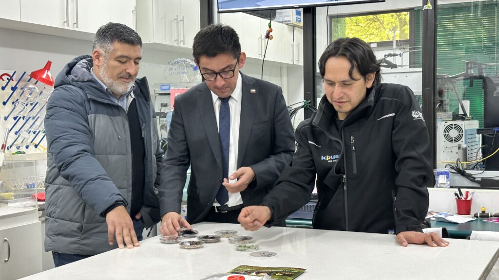 Facultad de Ingeniería UTalca propone sello para certificar la calidad del pellet