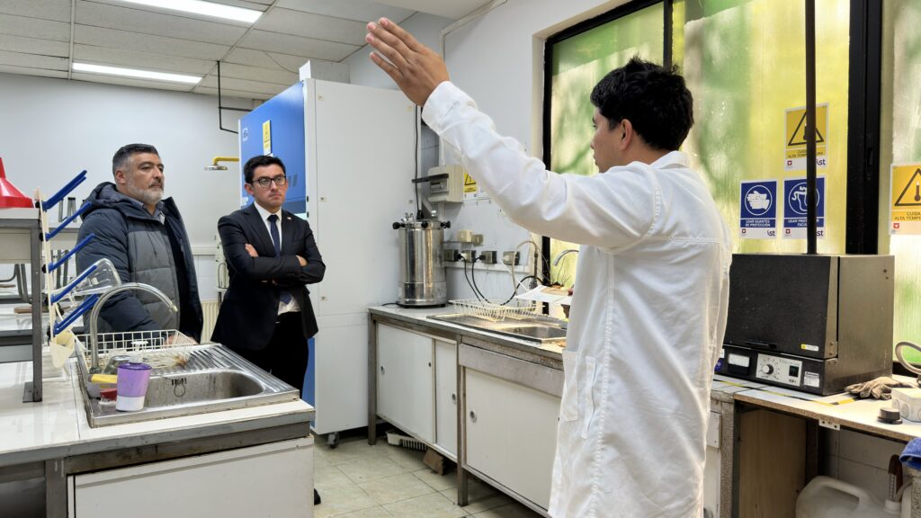 Facultad de Ingeniería UTalca propone sello para certificar la calidad del pellet